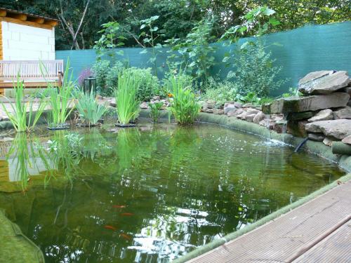 Teich mit Ufermatte.jpg Teich mit Ufermatte.jpg